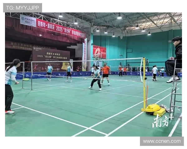 南京羽毛球队在精英赛中的意识表现分析与总结