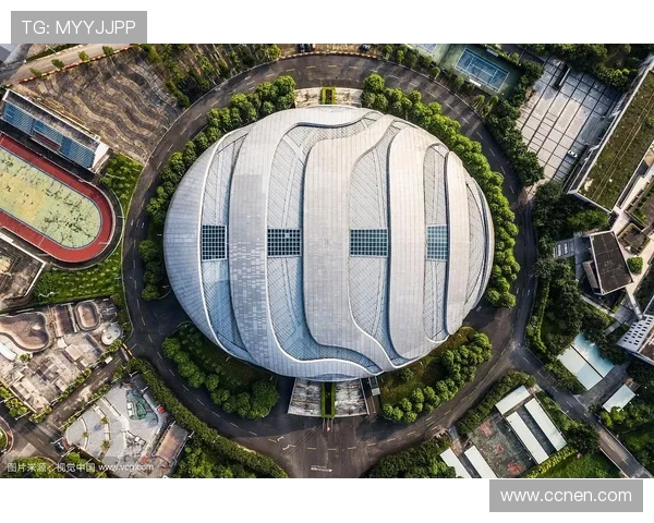 广州极限运动队的运营模式与发展趋势深度解析