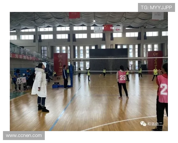 杭州排球队强势领跑最新排球状态TOP10榜单全景解析