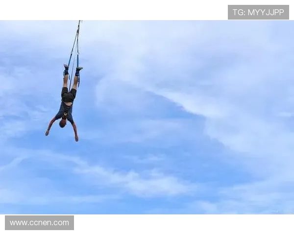 极限运动的魅力与挑战：深入探讨上海极限运动队的训练与管理模式