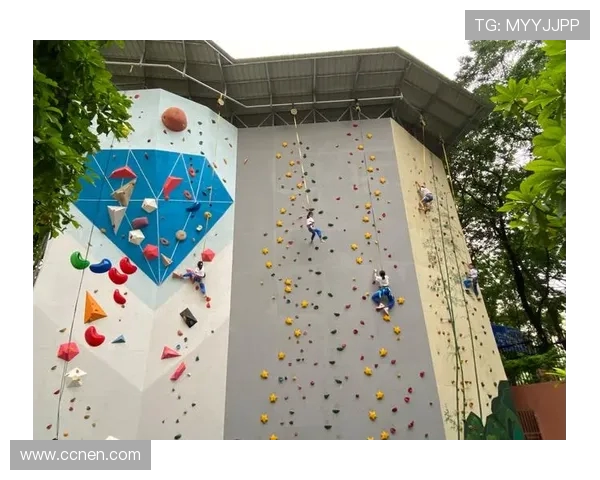 武汉攀岩队实力强劲荣登全国攀岩实力排行榜第六名 武汉攀岩队实力强劲荣登全国攀岩实力排行榜第六名