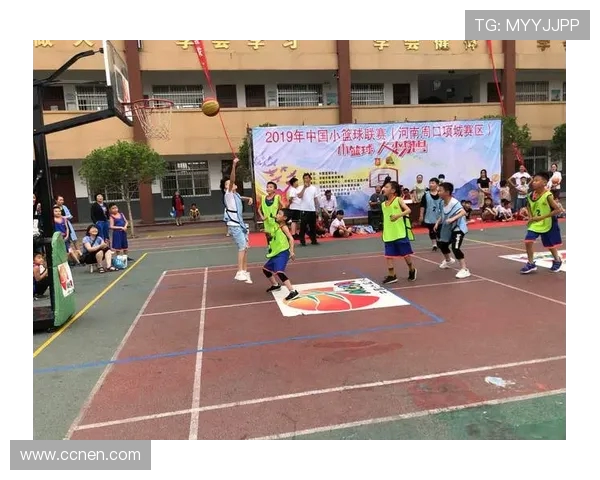 武汉羽毛球队崛起之路:城市联赛中的拼搏与梦想 武汉羽毛球队崛起之路:城市联赛中的拼搏与梦想