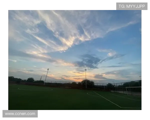 深圳飞盘队荣登全国飞盘状态排行榜第五名展现强劲实力与团队精神 深圳飞盘队荣登全国飞盘状态排行榜第五名展现强劲实力与团队精神