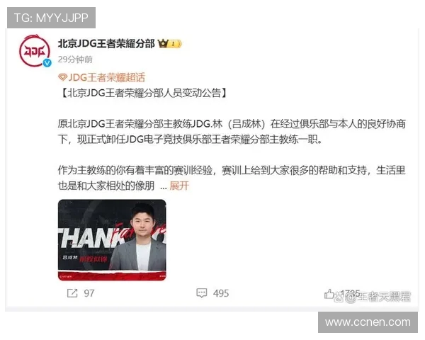 王者荣耀专题深度解析JDG战队的耐力与团队协作之道