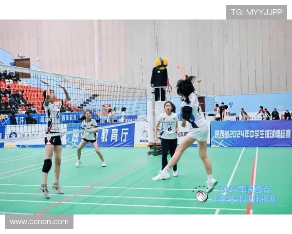 西安排球队逆袭之旅的精彩瞬间与背后故事全景揭秘 西安排球队逆袭之旅的精彩瞬间与背后故事全景揭秘