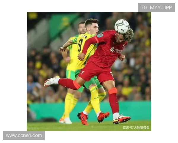 利物浦与诺维奇实力对比分析谁能在比赛中占据优势