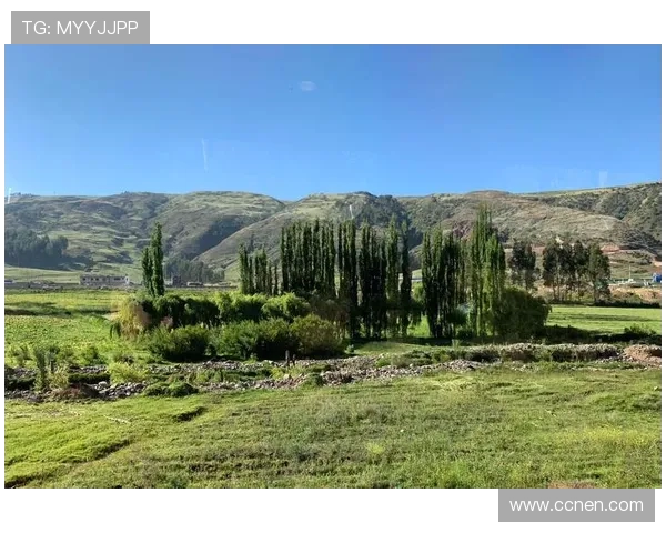 探索阿拉巴的魅力:历史文化与自然风光的完美结合之旅 探索阿拉巴的魅力:历史文化与自然风光的完美结合之旅