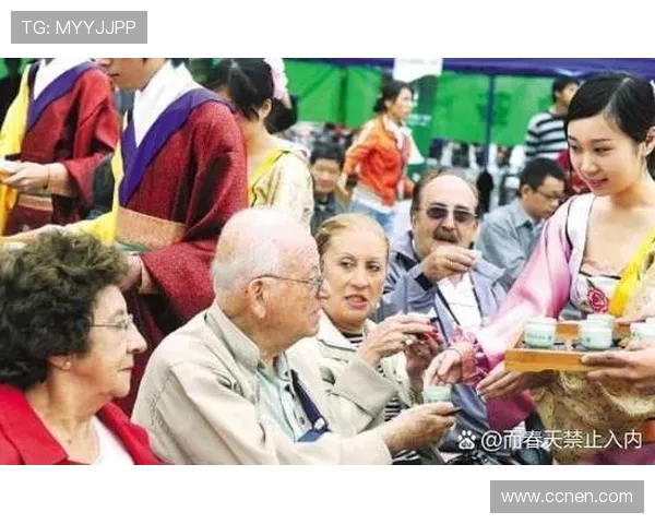斯通斯乐队的音乐旅程与文化影响力探讨