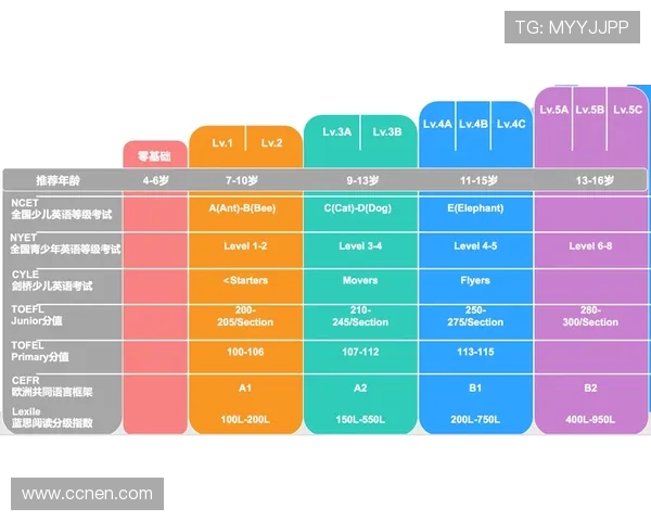 独家解析IG平台的影响力与竞争对手的全面对比分析