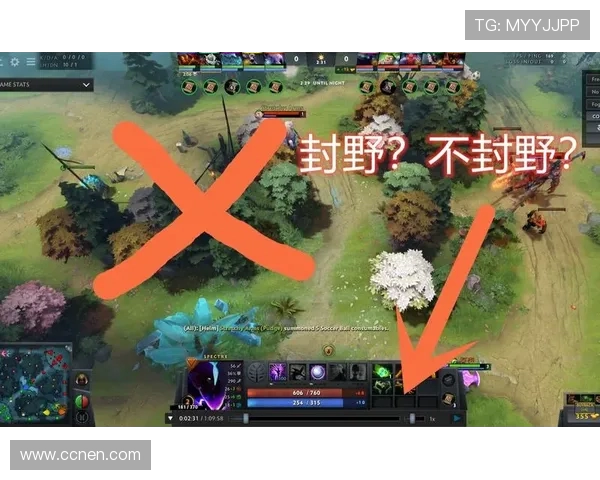DOTA2战术分析:深入探讨JDG边路渗透策略与执行技巧 DOTA2战术分析:深入探讨JDG边路渗透策略与执行技巧