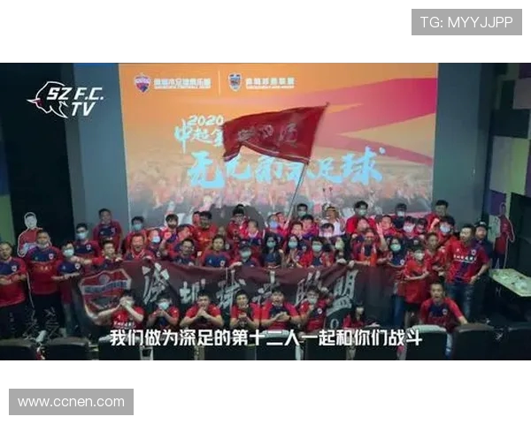 南京足球队团队协作深度解析与其他球队的对比研究