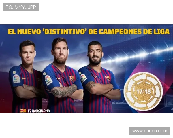 广州排球队的荣耀之路：从默默无闻到全国顶尖的奋斗故事