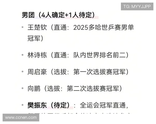 成都乒乓球队灵活性引发热议专家观点各异引人深思