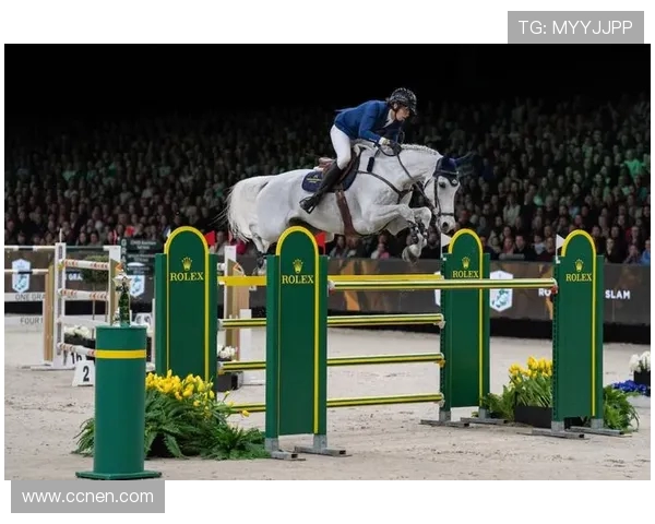 成都羽毛球队在冠军赛中的卓越表现与力量解析